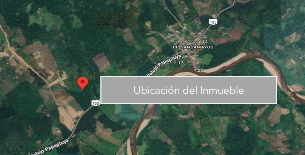 Bien en remate judicial en BARRANQUITA — San Martín