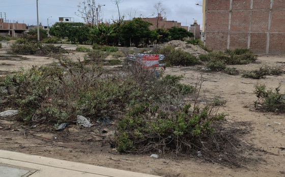 Bien en remate judicial — Chimbote